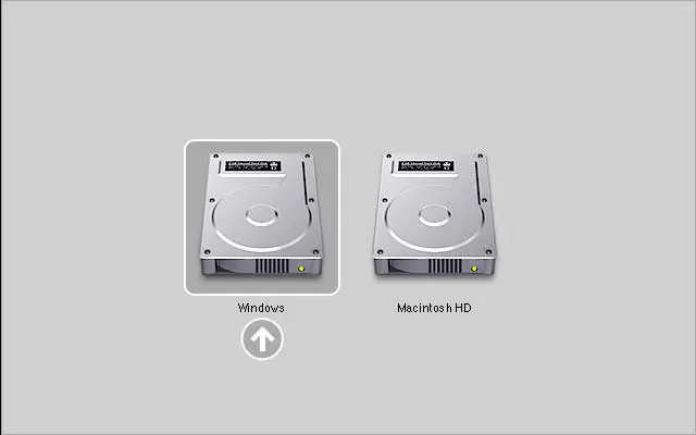 Windows-Macintosh