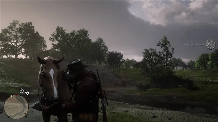 Как получить лучшую лошадь в Red Dead Redemption 2: породы лошадей, цены, характеристики, как чистить, приручать, оживлять и тренировать лошадь.