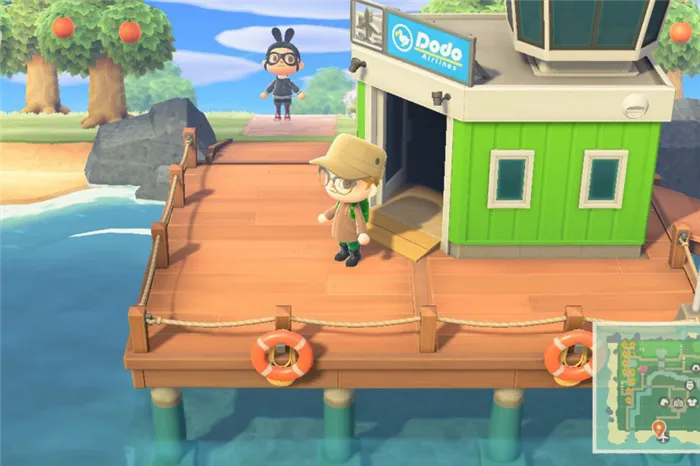 Руководство: как играть в Animal Crossing: новые горизонты с друзьями